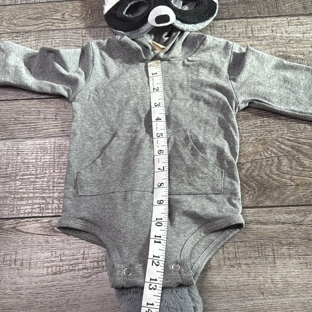 Kids Grey Raccoon Hooded One-Piece Bodysuit